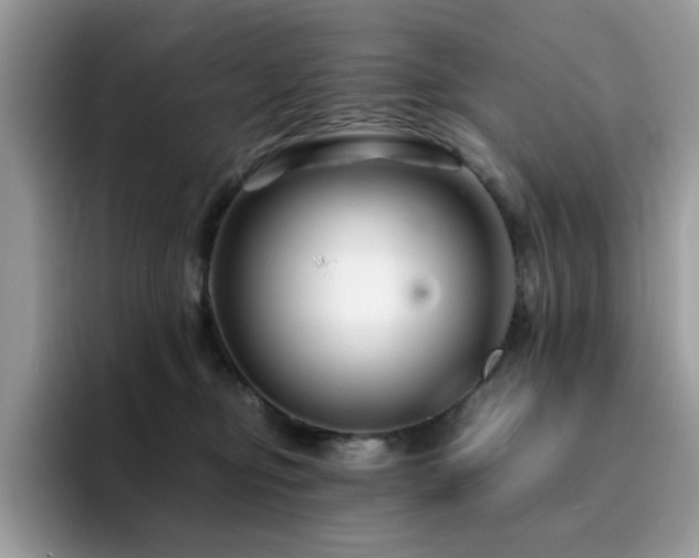 X0000094950374200711291418