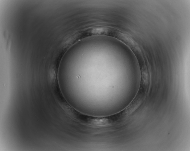 X0000094950375200711291418