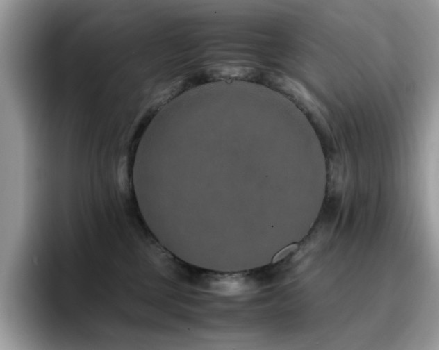 X0000094950377200711291418