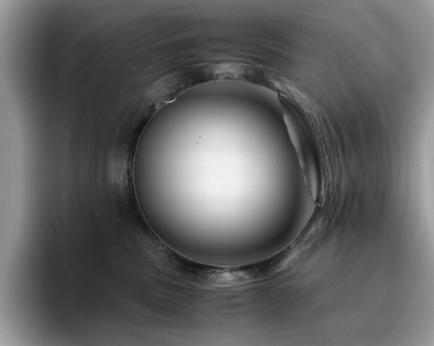 X0000094950379200711291418