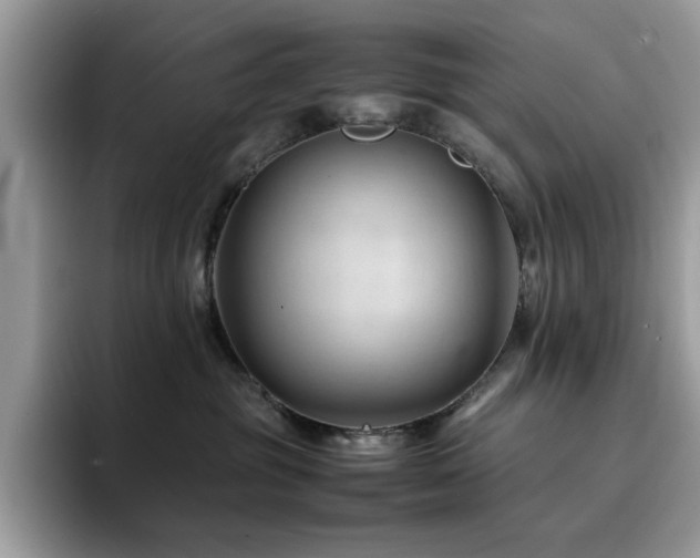 X0000094950381200711291418