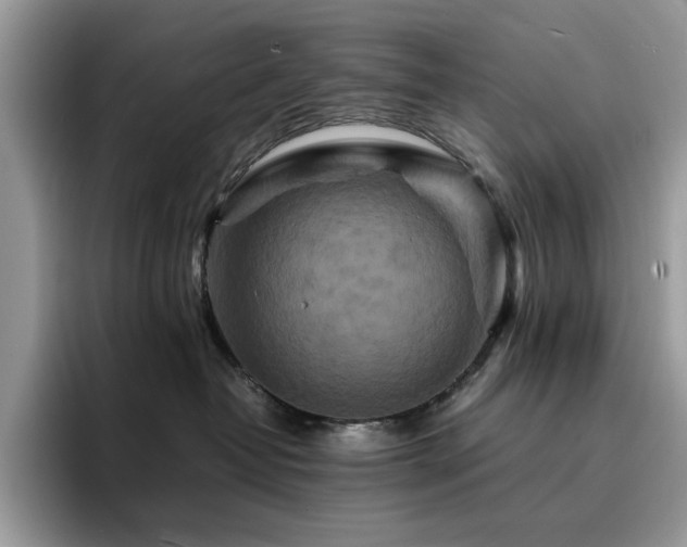 X0000094950382200711291418