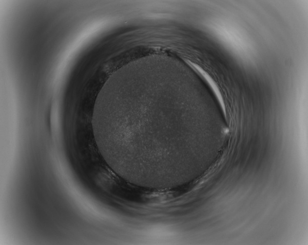 X0000094950383200711291418