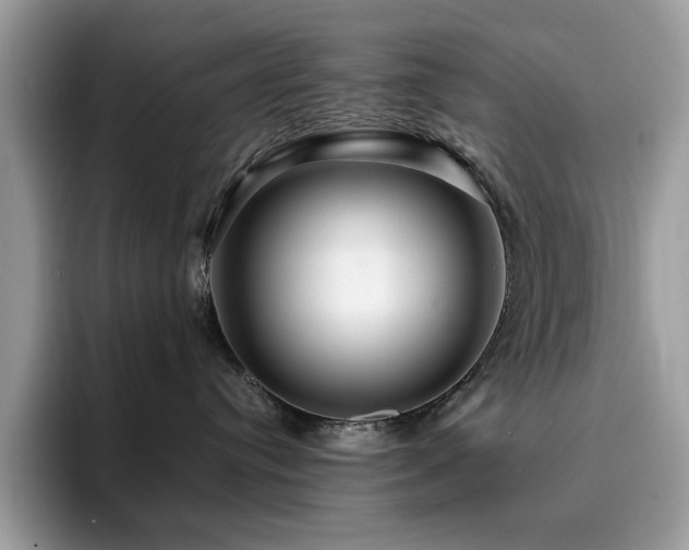 X0000094950384200711291418