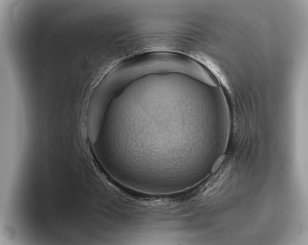 X0000094950385200711291418