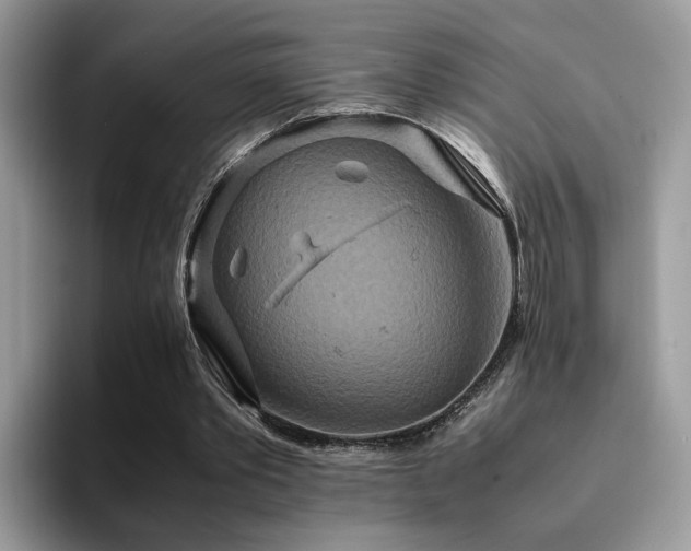 X0000094950389200711291418