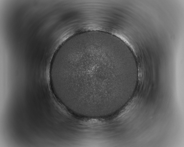 X0000094950390200711291418