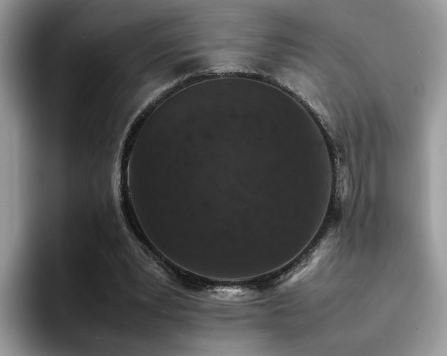 X0000094950391200711291418