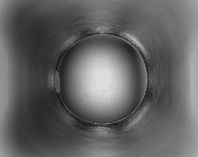 X0000094950393200711291417