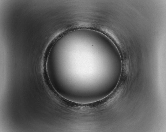 X0000094950395200711291417