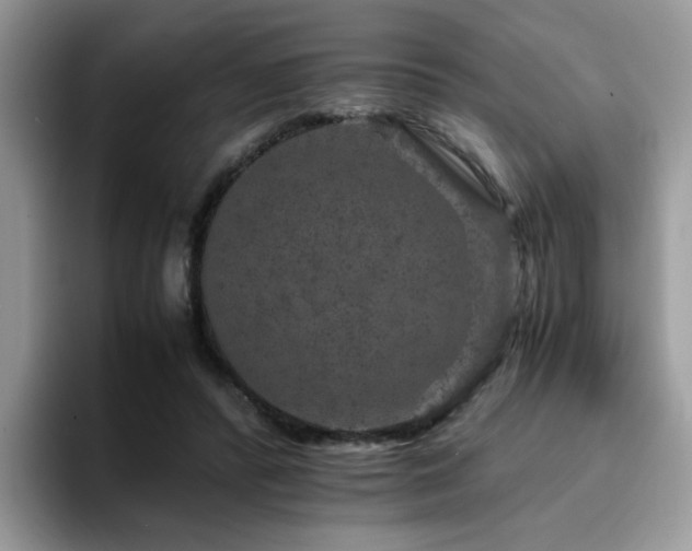 X0000094950400200711291417