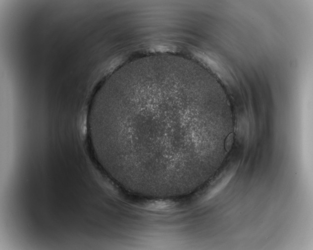 X0000094950402200711291417