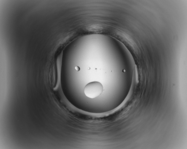 X0000094950404200711291417