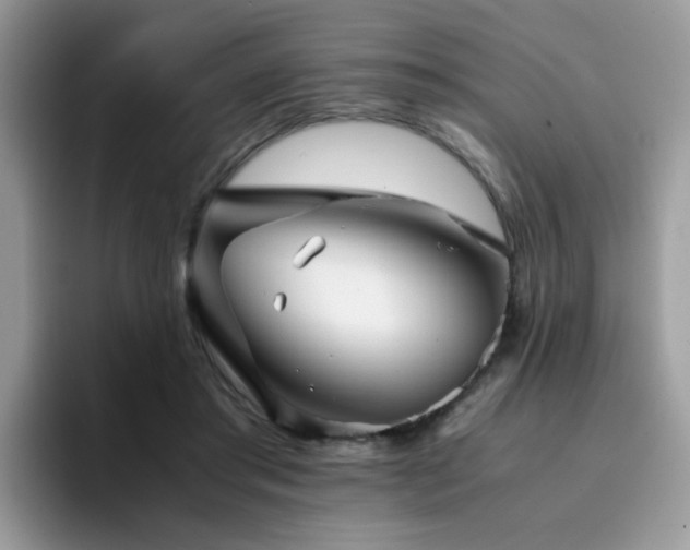 X0000094950405200711291417