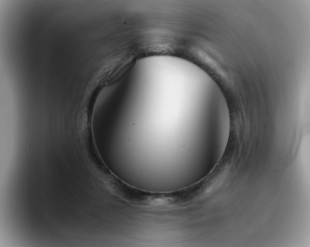 X0000094950407200711291417