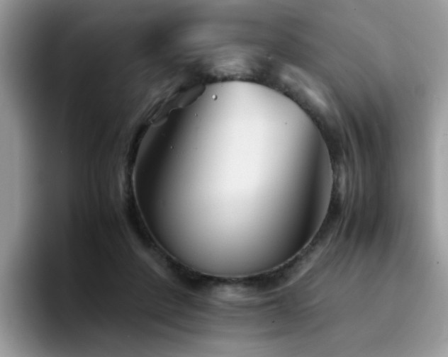 X0000094950408200711291417