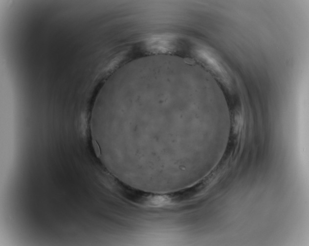 X0000094950409200711291417