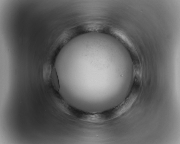 X0000094950411200711291417