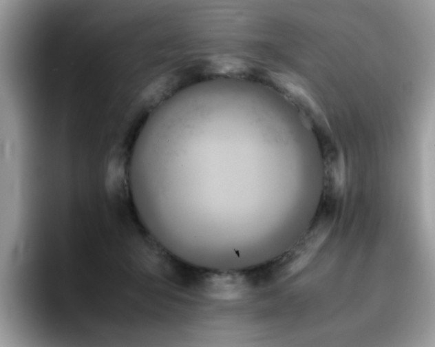 X0000094950415200711291417