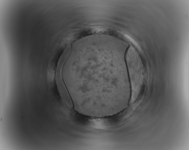 X0000094950417200711291417