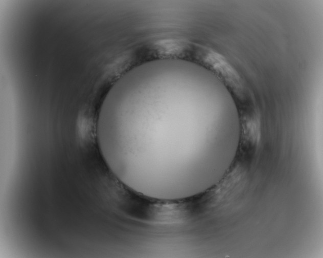 X0000094950419200711291417