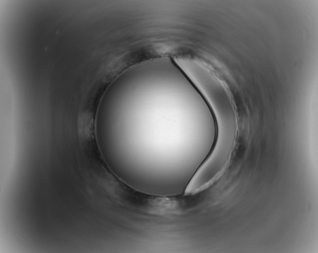 X0000094950421200711291417