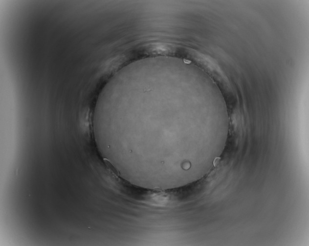 X0000094950423200711291417