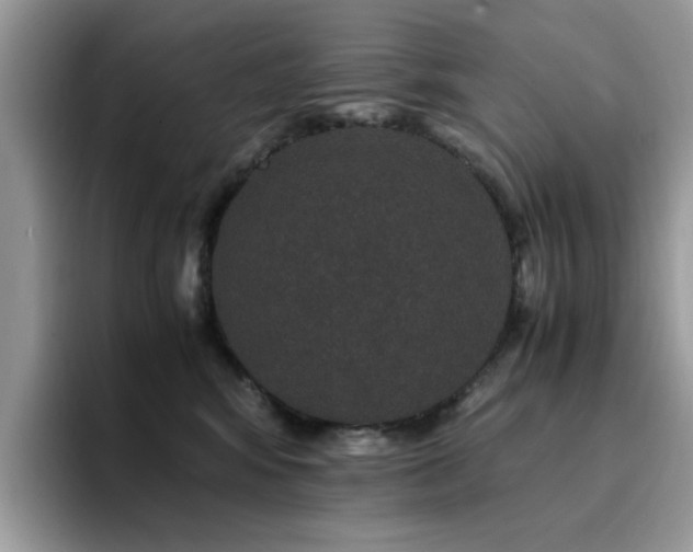 X0000094950424200711291417