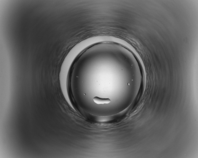 X0000094950429200711291417