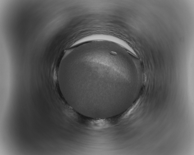 X0000094950431200711291417