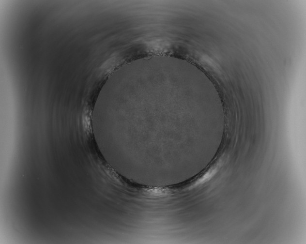 X0000094950432200711291417