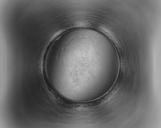 X0000094950434200711291416