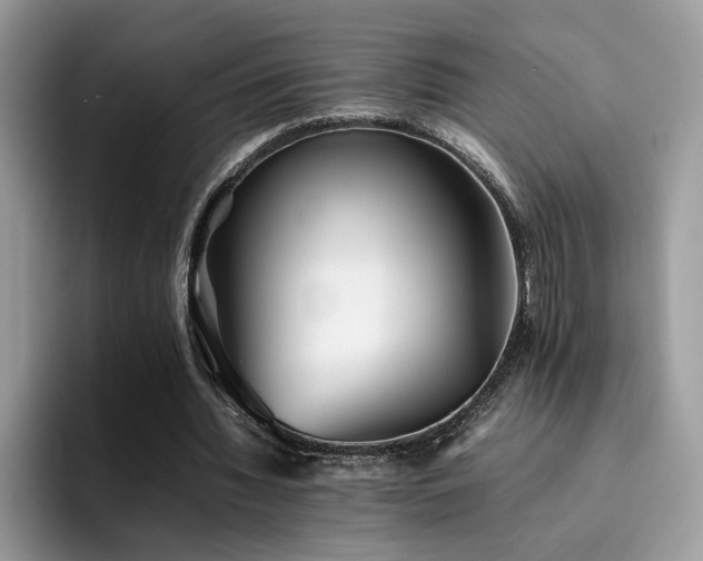 X0000094950436200711291416