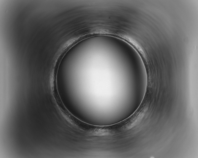 X0000094950437200711291416