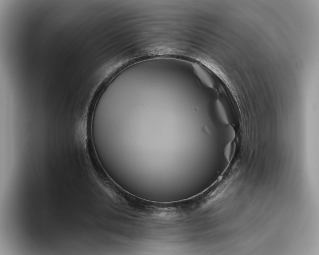 X0000094950438200711291416