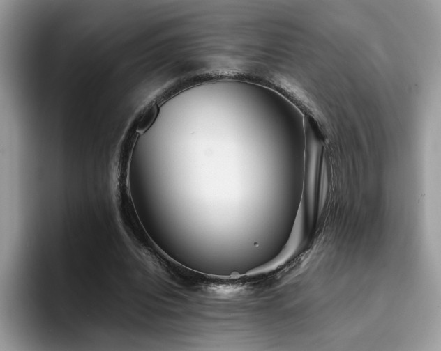 X0000094950440200711291416