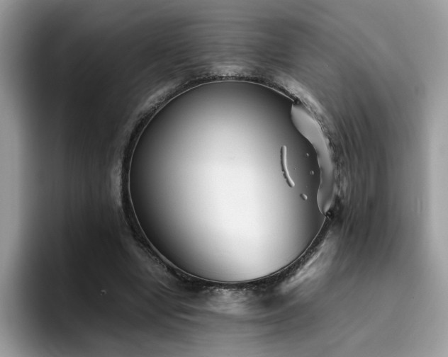 X0000094950442200711291416