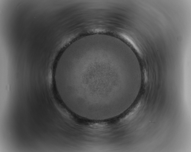 X0000094950447200711291417