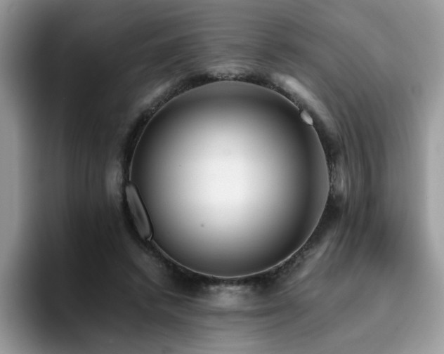 X0000094950448200711291417