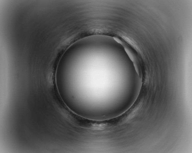 X0000094950450200711291417