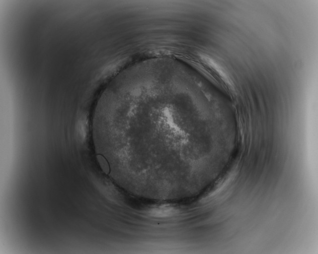 X0000094950451200711291417