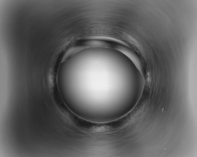 X0000094950452200711291417