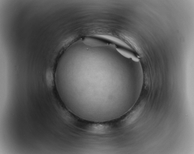 X0000094950453200711291417