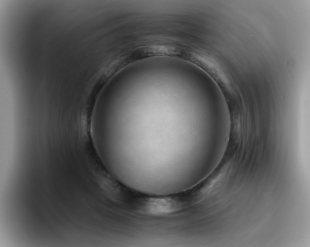 X0000094950457200711291417