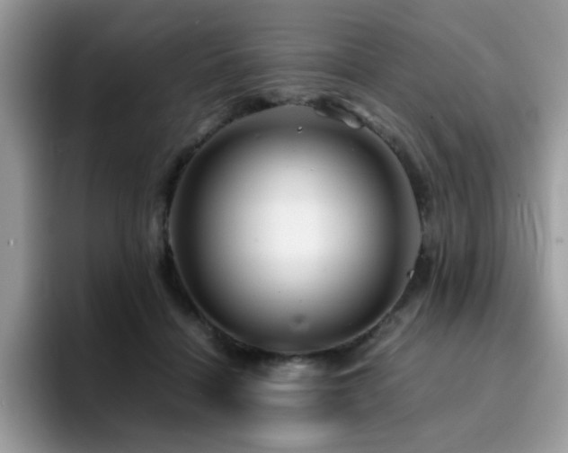 X0000094950460200711291417