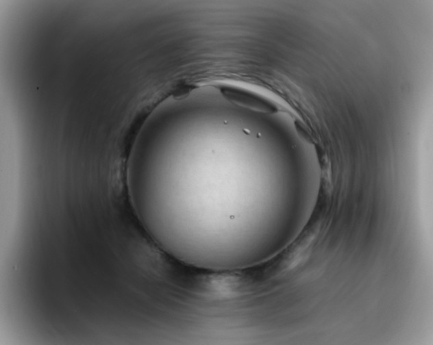 X0000094950462200711291417