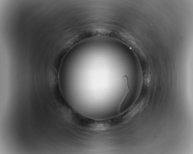 X0000094950464200711291417