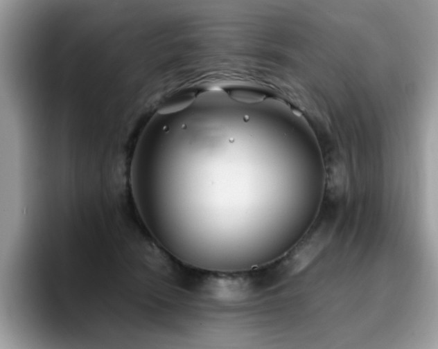 X0000094950466200711291417