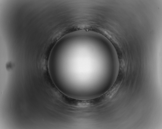 X0000094950470200711291417