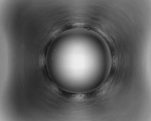 X0000094950474200711291417